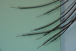 CrescentDetail3.png